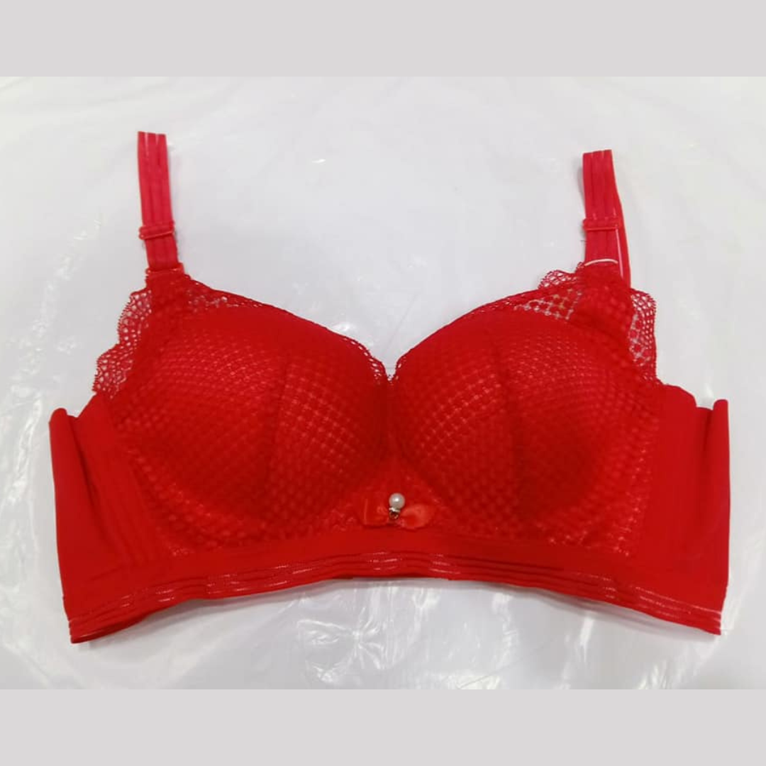 Lace Push up Bra - WS