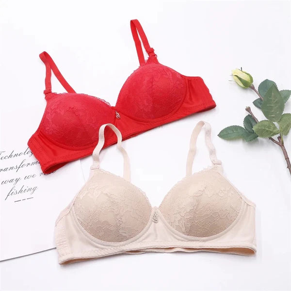 Pushup Bra Seamless Lace Net - WS